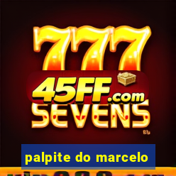 palpite do marcelo
